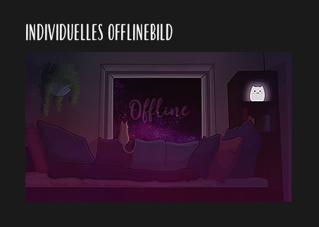 indiviofflinebild